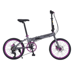 Raleigh | Ultra-light Portable Foldable Bicycle 20 inches