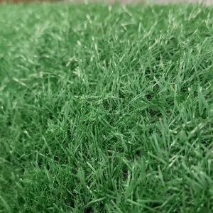 OSUKI Artificial Grass Carpet 5m x 2m Indoor Outdoor Garden Turf Fake Grass Balcony