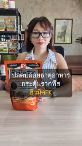 ปุ๋ยฮิวมิคFK ปลูกสับปะรด คาร์บอนต่ำ ช่วยให้ผลผลิตดก เร่งโต ใบเขียว ผลใหญ่ ลดต้นทุน เพิ่มคุณภาพผลผลิต