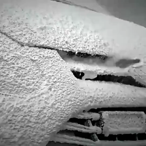 Kuas Detailing Mobil Motor 5 in 1 Soft Brush Interior Eksterior Bulu Halus Kuas Multifungsi 5pcs Gm88