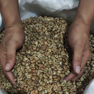 GREEN BEAN / KOPI MENTAH ROBUSTA TEMANGGUNG GRADE 1 - 1 KG