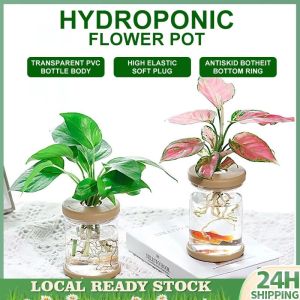 【BUY 1 TAKE 1】Water Plant Pot Plastic Transparent Hydroponic Small Pots for Indoor Water Garden or Plants Lazy Flower Pot Automatic Water Absorbing Self-Watering Flowerpot Soilless Planting Gardening Planter Home Decor