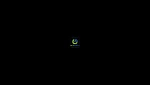 Đèn LED Hậu Chạy Hiệu Ứng 112835-32 | Chân 1157 BAY15D + Chớp F1 | Chip 2835 12V 2.5W | Hiệu Ứng Chạy Audi | Đèn Hậu Phanh Ô Tô Xe Máy