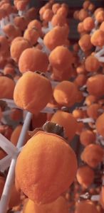 เค้กลูกพลับทรงกลมแขวนเคลือบน้ำตาลสูตรพิเศษของมณฑลส่านซี 500 กรัม เนื้อเหนียว หวาน นุ่ม