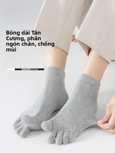 MiiOW | Tất cotton nam 5 ngón thoáng khí thấm mồ hôi dài đến bắp chân kháng khuẩn MiiOW thương hiệu thu đông thường ngày màu trơn