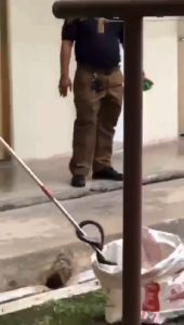 Alat Penjepit Ular 1.5M 1.2M/ Penangkap Ular / Sarung Tangan Tas Ular Kit / Tang Sampah / Tang Ular Yang Dapat Dilipat / Tongkat Tang Ular / Penangkap Ular Stainless Steel / Tang Sampah Dengan Kunci Abby/Penjepit Ular