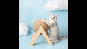 PETRAVEL Bola Garukan Cakaran Kucing Cat Scratcher Toy