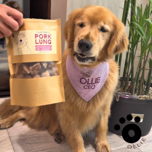Ollie Treats: Beef Liver