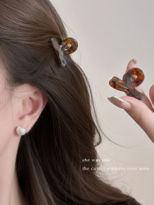 Acetate Small Hair Grabbing Clip Female Fancy Loose Clip Little Clip Hair Accessories Side Barrettes Shark Clip Bang Clip Headdress