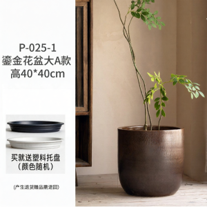 LANLIN | Zen Style Large Mouth Ceramic Planter Aesthetic Golden Decor