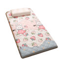 Thickened Nordic Style Tatami Carpet Full Coverage Student Dormitory Bedside Mat Mattress Home Use Floor Mat Rug. 