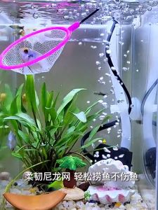 กระชอนตักปลาทรงกลม กระชอนตักปลากัด ที่ตักปลา สวิงตักปลา ตักปลาตัวเล็ก ตักขี้ปลา เศษไม้น้ำ รักษาคุณภาพน้ำตู้ปลา