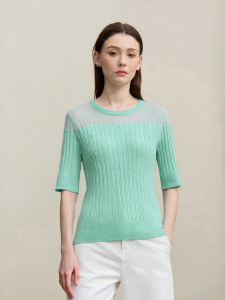 AMII | Round Neck Transparent Silk Knitted Sweater