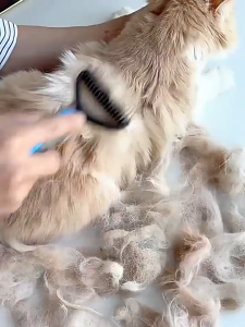 【🔥SG🔥】RICHMENTMALL Pet Deshedding Brush Two Sided Pet Grooming Comb Stainless Steel Shedding Pet Comb Professional Hair Removal Brush for Dogs Cats