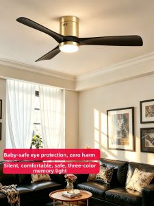HUANGJIANG | Inverter Home Fan Light