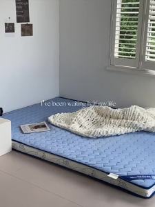 Latex Mattress for Home and Dorm Soft Pad