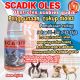 Setio pramono tkj