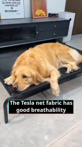 Tidur Anjing Tempat tidur hewan peliharaan anti-dermatosis tempat tidur mesh tempat tidur anjing tahan lembab Papapet Mall