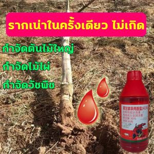 ไม่เกิดซ้ำ บอกลาการตัดต้นไม้ด้วยตนเอง ยาฆ่าตอไม้ ยากำจัดวัชพืช สามารถฆ่าต้นไม้ใหญ่ ไม้ไผ่ และวัชพืชต่างๆ ได้ ยาฆ่าตอไม้ กำจัดต้นไม้ กำจัดกอไผ่