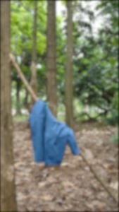 Greenforest Sumbawa Jaket Gunung Waterproof Inner Polar Pria & Wanita