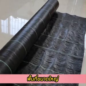 COD พลาสติกคลุมดินเกรดพิเศษ ป้องกัน UV และวัชพืช รักษาความชื้นของดิน ช่วยเพิ่มผลผลิต ใช้ได้ยาวนาน 4-5 ปี เหมาะสำหรับสวนและฟาาร์ม ทนทาน