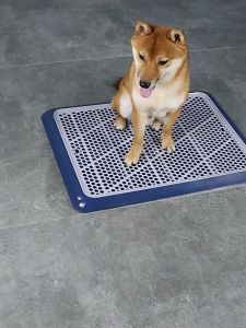 Ti Ti potty tray for dogs dog pee tray pee pads for dogs training Pet Integrated Dog Toilet Golden