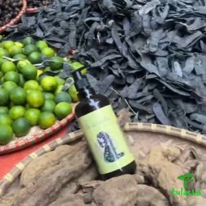 Dầu gội đầu bồ kết cô đặc thiên nhiên - Dầu xả bồ kết thảo dược dưỡng tóc ngăn rụng tóc - 500 ml [HANDMADE]