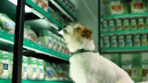 ์Natures Gift Kangaroo Fillet+ Succulent Lamb อาหารถาดสูตรจิงโจ้ 9 + สูตรแกะ 9 รวม 18 ถาด