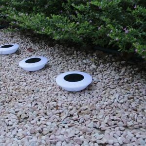 Đèn năng lượng mặt trời đèn sân vườn TMC Store - Trang trí bãi cỏ gốc cây sang trọng