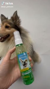 Xịt khử mùi hôi tức thì ngừa mảng bám cao răng cho Chó Mèo - TropiClean Fresh Breath Oral Care Foam