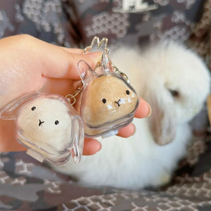 Transparent Rabbit Hair Keepsake Bottle Pet Hair Storage Capsule Keychain Thoughtful Gift for Rabbit Lovers And Owners