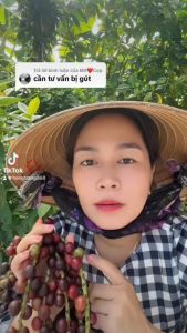 Combo 2 chai loai 330 ml đủng đỉnh giã nát_gụ thuốc hỗ trợ cải thiện đau nhức xương khớp hiệu quả bài thuốc dân gian 100% thiên nhiên zon zon store