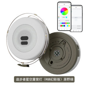 Portable Battery Powered LED String Lights Decorative Atmosphere Flashing Bouquet Decoration Camping Travel Outdoor Gear