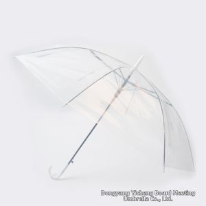 Transparent Elegant Large 8-Bones Photo Accessory Umbrella