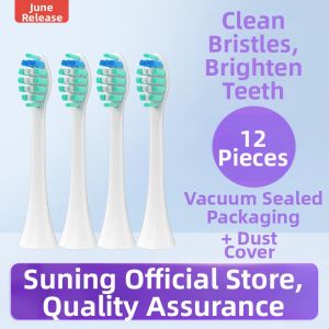 June Six Initial Compatible Apiyoo Electric Toothbrush Heads P7 T9 Y8 Sup Pikachu Replacement 2585 Adult Gum Care Normal Size