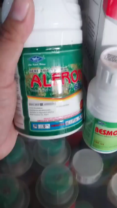 PAKET ANTI GULMA (PAG) JAGUNG BISI PRIME 250 ML DAN 500 ML