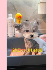 Electric Cat Foaming Machine Dog Cleaning Bath Shampoo Foam Sprayer Pet dog shower gel bubbler cat bathing dog bath bubbler bath bubble machine yellow duck bubble machine Pet fully automatic bubble machine shower gel electric foam machine