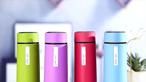 Leakproof 450ml Glass Tumbler Double Layer Durable Stylish Business Water Cup