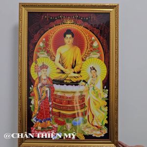 Tranh Phật Tây Phương Tam Thánh Có Đèn Trang Trí Bàn Thờ Treo Tường Phòng Thờ DTPTT-57