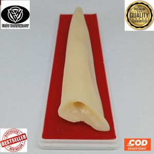 once padutan tulang kerbau model taring duyung premium 15cm