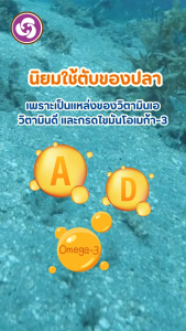 น้ำมันตับปลา Preventive Life(พรีเวนทีฟ ไลฟ์)สมอง และสายตาดี ชนิดแคปซูล 1กล่อง/10แผง 1แผง/10แคปซูลแถมฟรีฟริสซี 1 ซอง