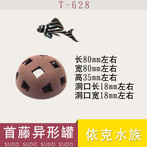 Sudo Sudo Sudo Nhật Bản Con Cá Buồm Lớn Râu Con Cá Ẩn Hình Lạ Con Cá Chuột Ẩn Hình Gấu Trúc Con Ốc Sinh Sản