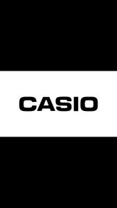 Casio DC-12M Desktop Type Shop Calculator