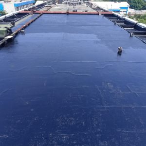 Asphalt emulsion aspal cair for waterproofing 25 kg solusi untuk rembes dan bocor dengan daya rekat lebih kuat tahan lama dan cepat kering