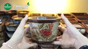 Pot Bonsai Keramik Segi Delapan