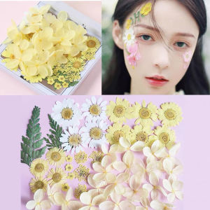Dried Flower Face Stickers for Makeup Photography Daisy Wedding Bride Forest System Facial Decorations Comfortable Nail Tools