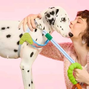 Teekland Dog Harness Leash Set No Pull Y-shaped Dog Harness for Small Dogs Shiba Inu Corgi Puppy Chest Straps Macaron Color Matching Pet Outdoor Products