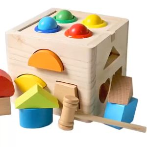 Đồ Chơi Gỗ Montessori Hộp Thả Hình Khối Cho Bé 3 4 5 Tuổi Đập Bóng Màu Sắc