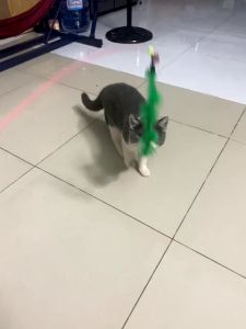 Cần câu mèo dây thép - Hình con sâu dễ thương  cần câu đa dạng 1 cần