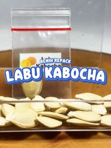 Benih Labu Kabocha Unggulan sayur berkualitas biji bibit hydroponik hidroponik sayuran gantung buah merambat